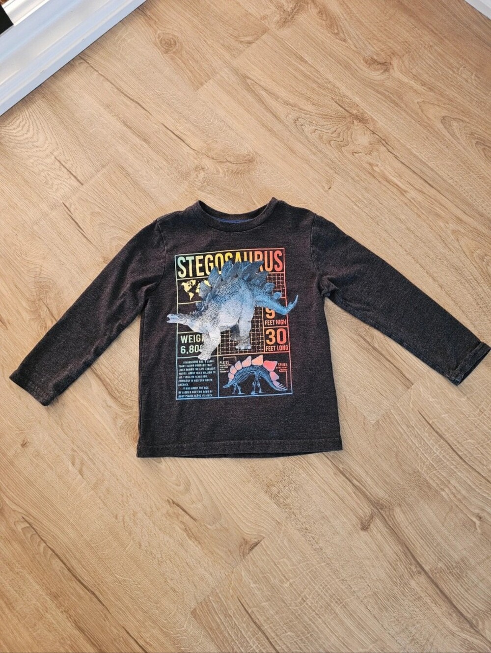 Kids Stegosaurus Graphic Long-Sleeve Shirt - Black Size 4T